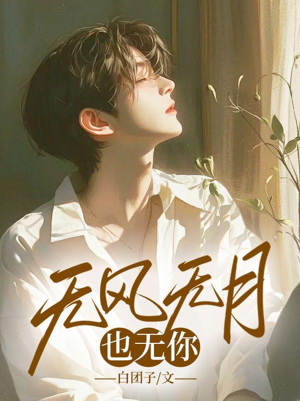 无风无月也无你表达了什么