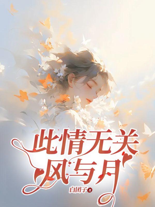 此情无关风与月的意思