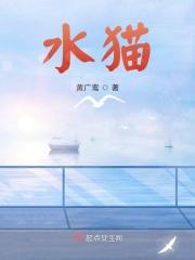 波子汽水猫