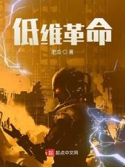 低维革命作文