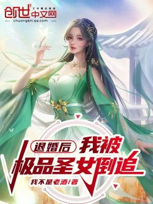 我被极品圣女倒追txt