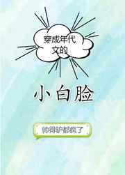 穿成年代文的小白脸讲的什么故事