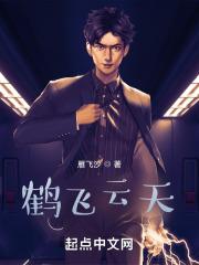 鹤云天武功