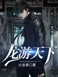 龙游天下有第四部吗