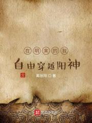 在明末的我自由穿梭阳神