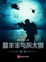 喜羊羊与灰太狼黎明破晓