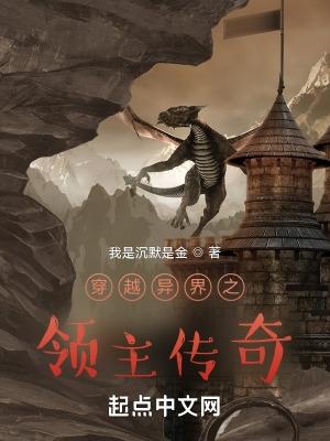 穿越异界之领主传奇作者我是沉默是金