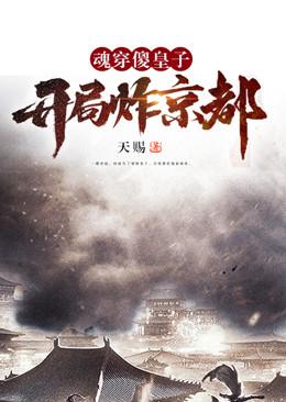 穿越到傻皇子身上