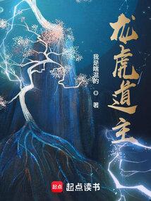 龙虎道主境界设定