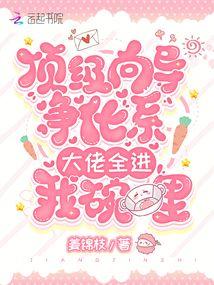 顶级向导净化系大佬全进我碗里txt