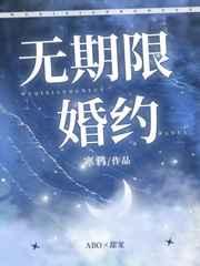 无期限婚约简介