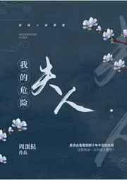 我的危险夫人全集