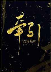 牵引力控制系统