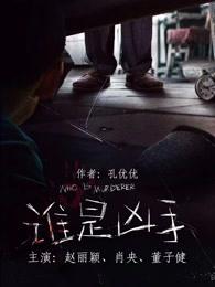 谁是凶手大结局