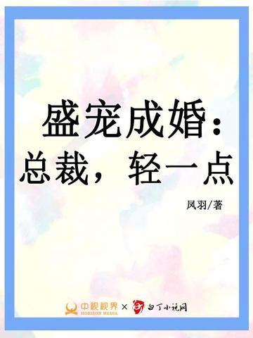 总裁轻点宠免费全文免费阅读