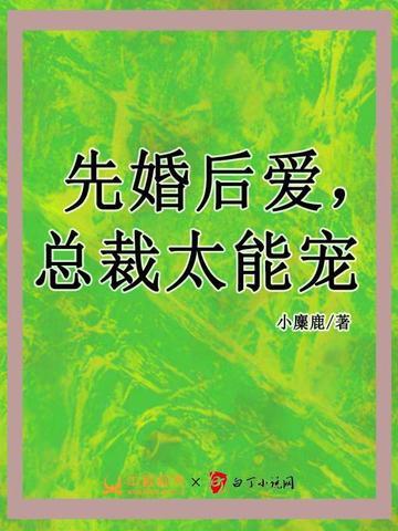 先婚后爱总裁大人太能宠