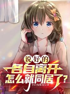 说好的各自离开怎么就同居了txt