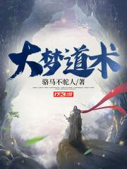 大梦主大梦术 大梦主大梦术