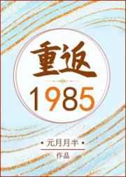 重返1985txt