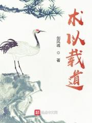 以法固术 以法固术