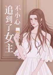 不小心追到了女主是什么