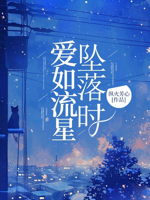 爱似流星mv