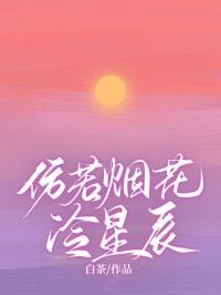 仿若烟花冷星辰全羨锦年免费阅读