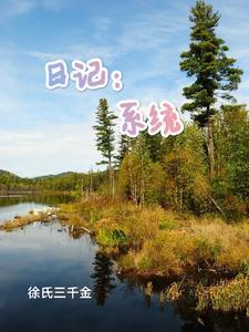 斗罗日记系统