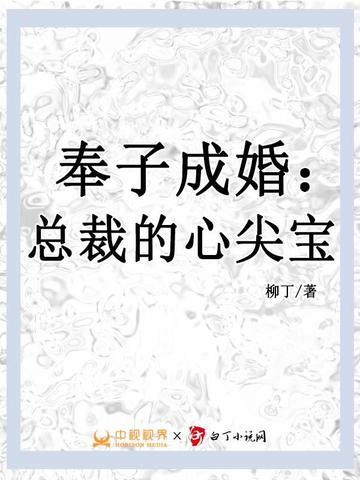 总裁奉子成婚丑妻宠入怀