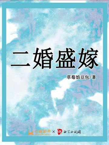 二婚盛嫁蓝小棠目录