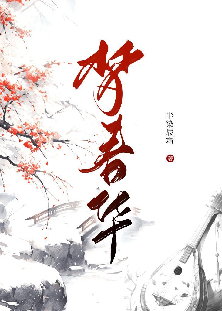 京华春梦电视剧