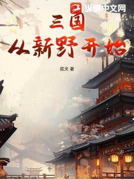 三国从新野开始孤天