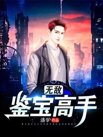 无敌鉴宝高手剧集