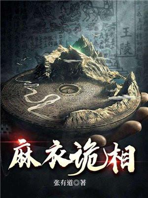 麻衣诡相txt月照残烛