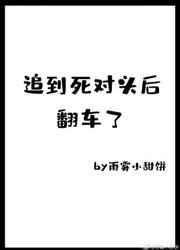 追到死对头后翻车了简介