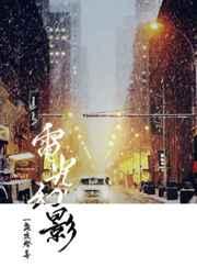 电光幻影娱乐圈txt