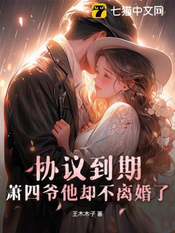 萧四爷却不离婚了全本