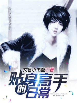贴身高手简介