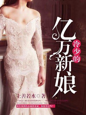 冷少的新娘全文免费