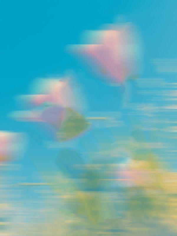 烟花寥寥
