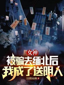 女神被骗去缅北后我成了送阴人中的叶蚀是好人吗