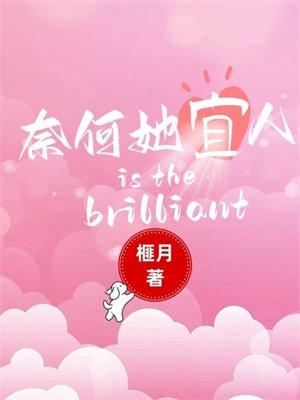 奈何佳人的意思是什么