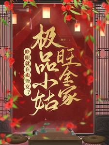 极品小姑子刘敏电视剧