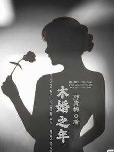 木婚之年什么意思