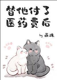 替他付了医药费后作者藏珠晋江 替他付了医药费后作者藏珠晋江