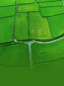 末世之末世桃源 末世之末世桃源