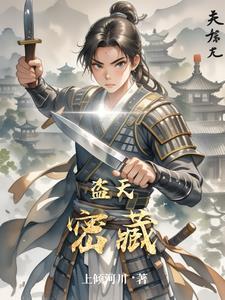 盗天机攻略