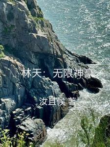 林天神豪系统