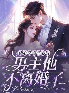 男主他不离婚了