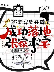 盗笔弃婴开局成功落地张家本宅张绾笛